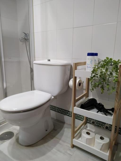 Acogedor Centrico Cordoba